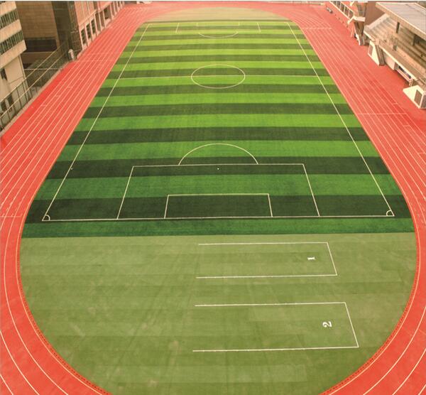 XPJ·(中国区)官方网站