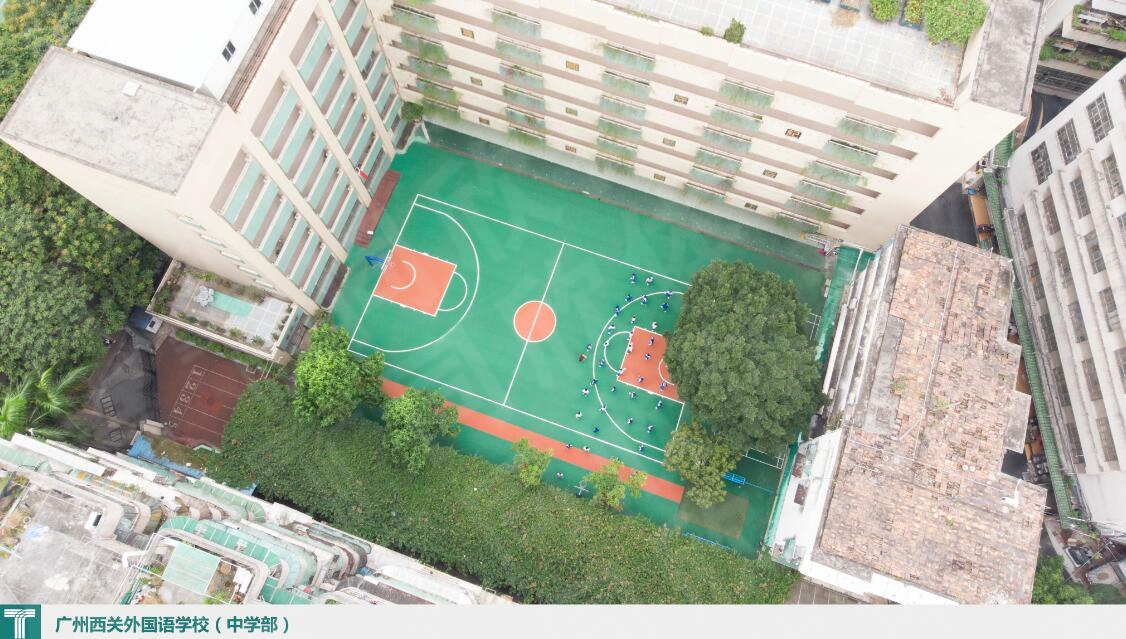 XPJ·(中国区)官方网站