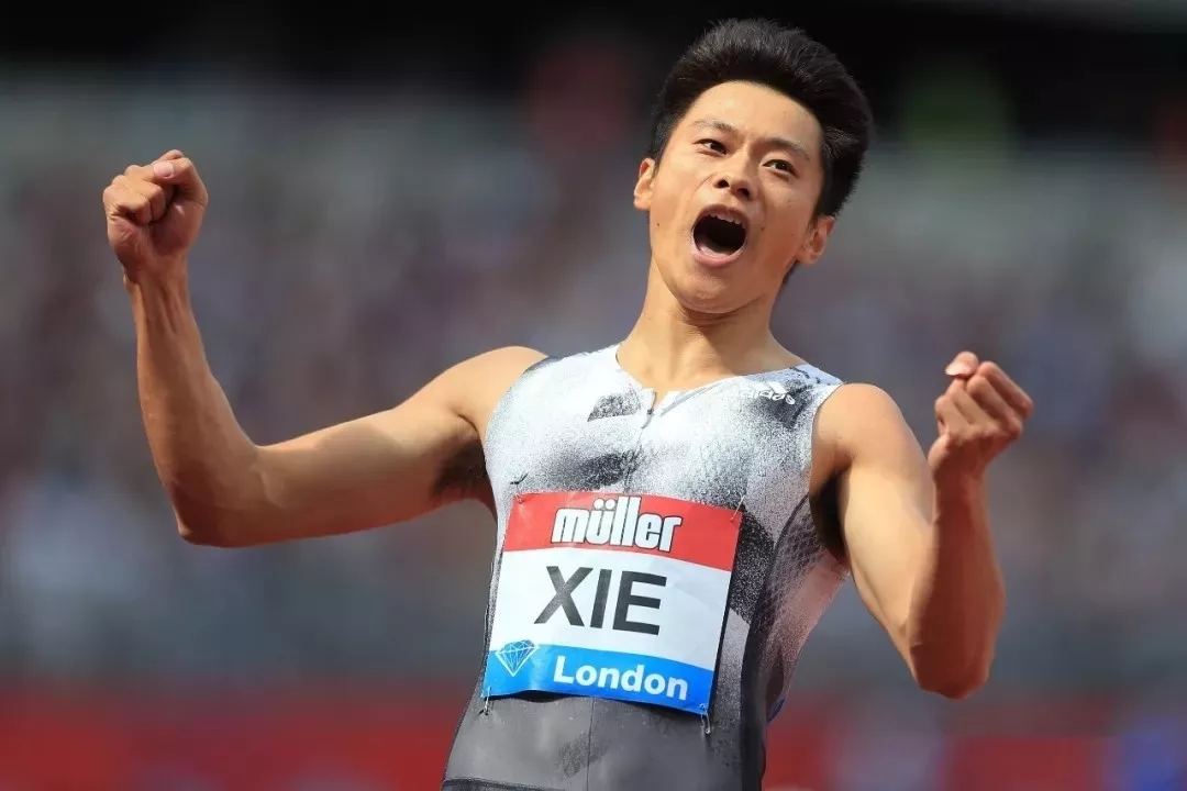 XPJ·(中国区)官方网站